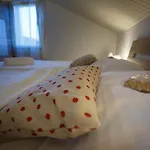 Foric Rab With Heated Pool, Sauna & Gym